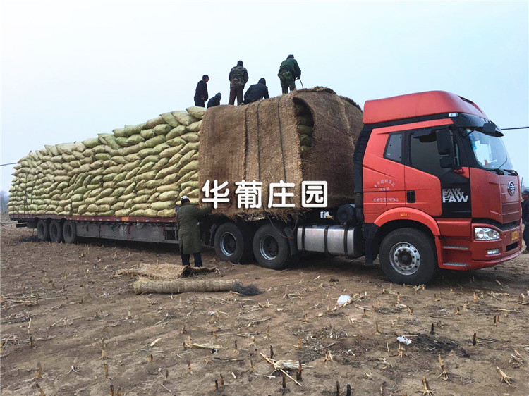 XCLP2-30T/40T/50T小噸位平面四柱液壓裁斷機 XCLP2-30T/40T/50T小噸位平面四柱液壓裁斷機